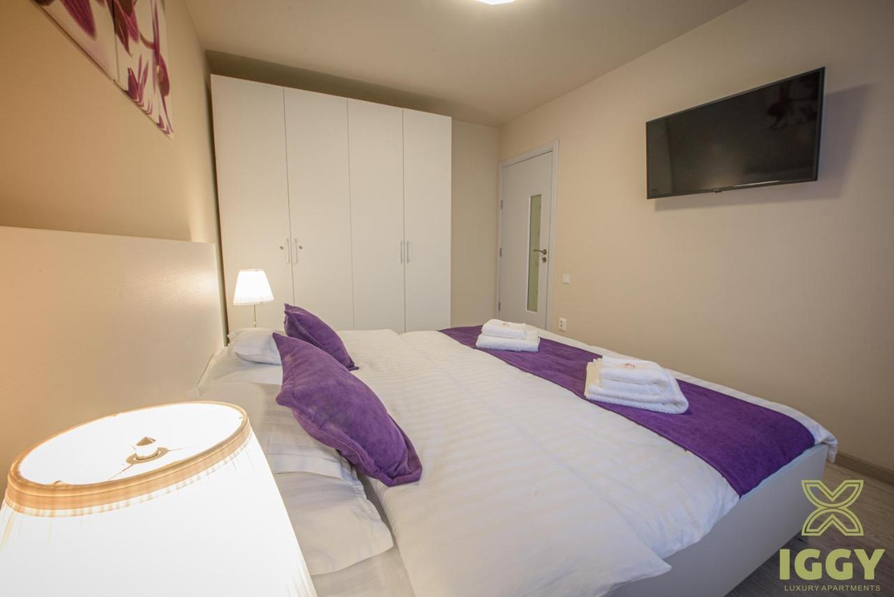Iggy Luxury Apartment Hunedoara Esterno foto