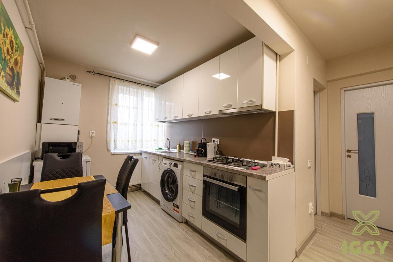Iggy Luxury Apartment Hunedoara Esterno foto